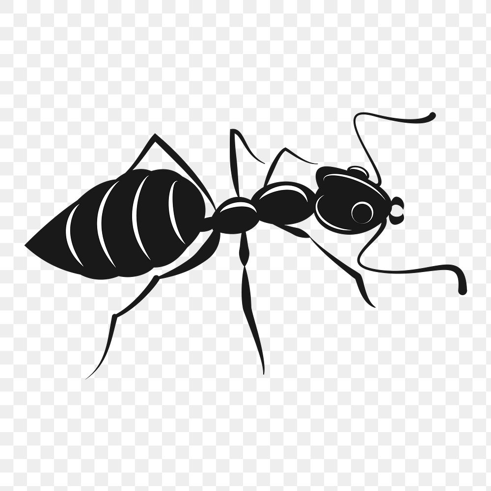 PNG Ant silhouette, clipart, transparent background