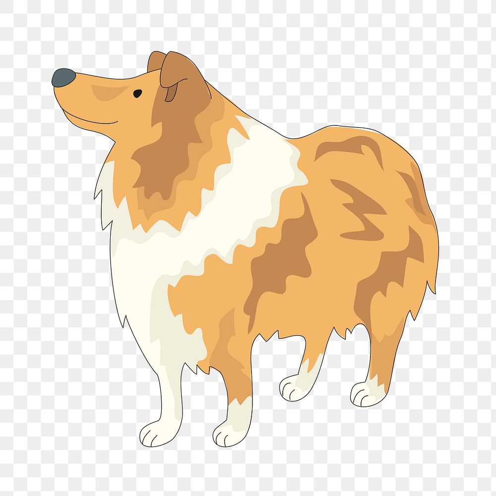 PNG Collie dog, clipart, transparent background