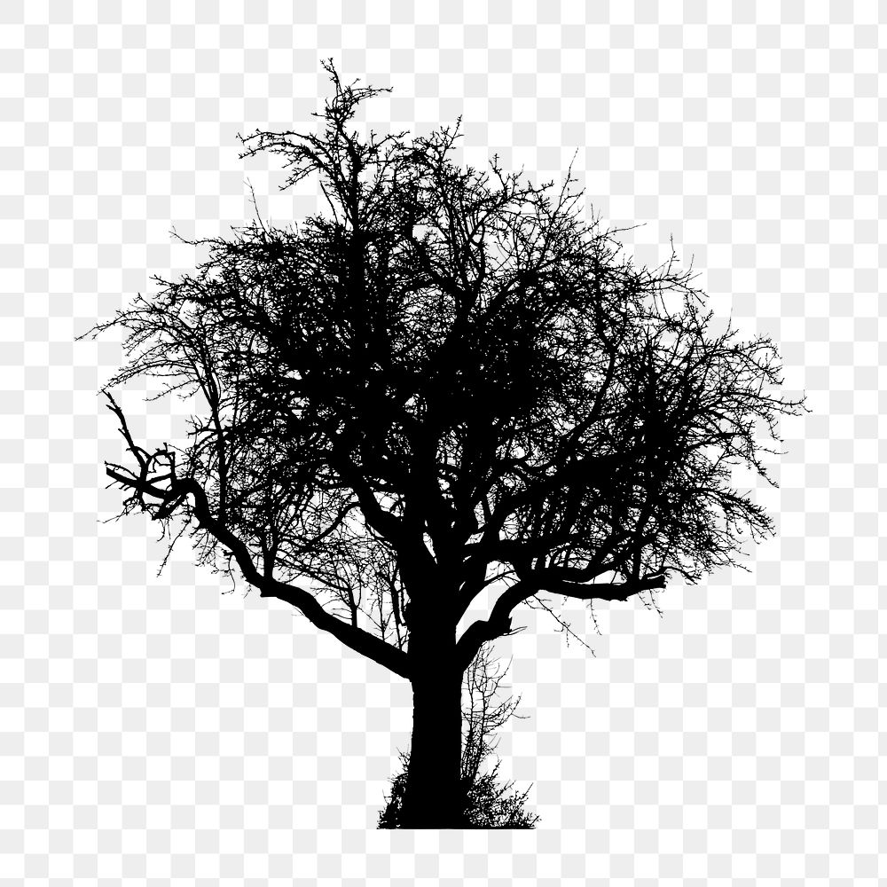 PNG Yet Another Winter Tree Silhouette, clipart, transparent background