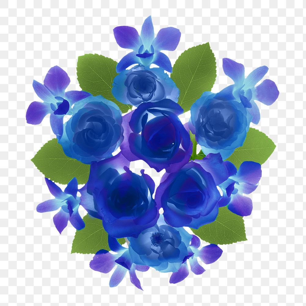 Blue rose png collage element, transparent background