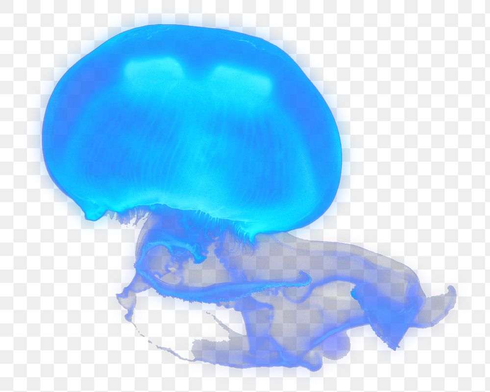 Blue jellyfish png collage element, transparent background