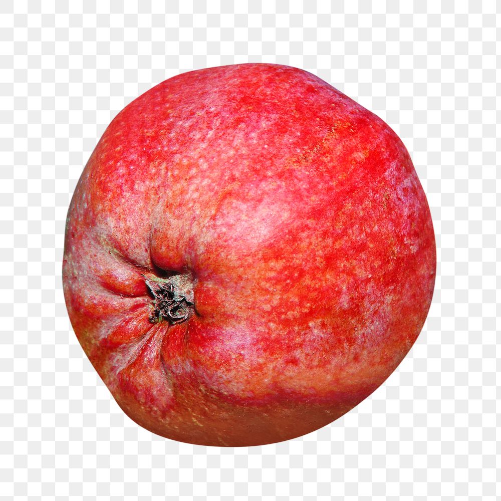 PNG  red apple close up fruit , collage element, transparent background