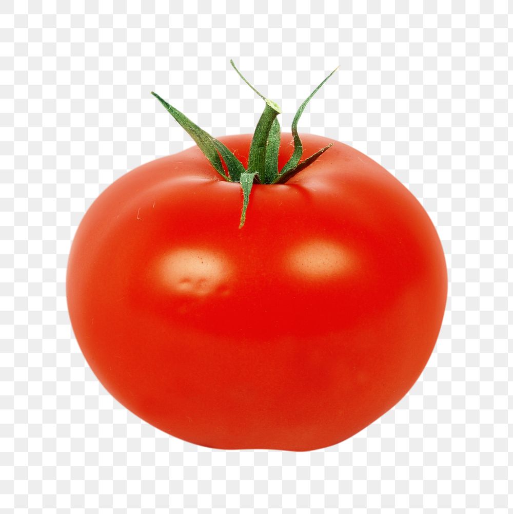 PNG tomato, collage element, transparent background