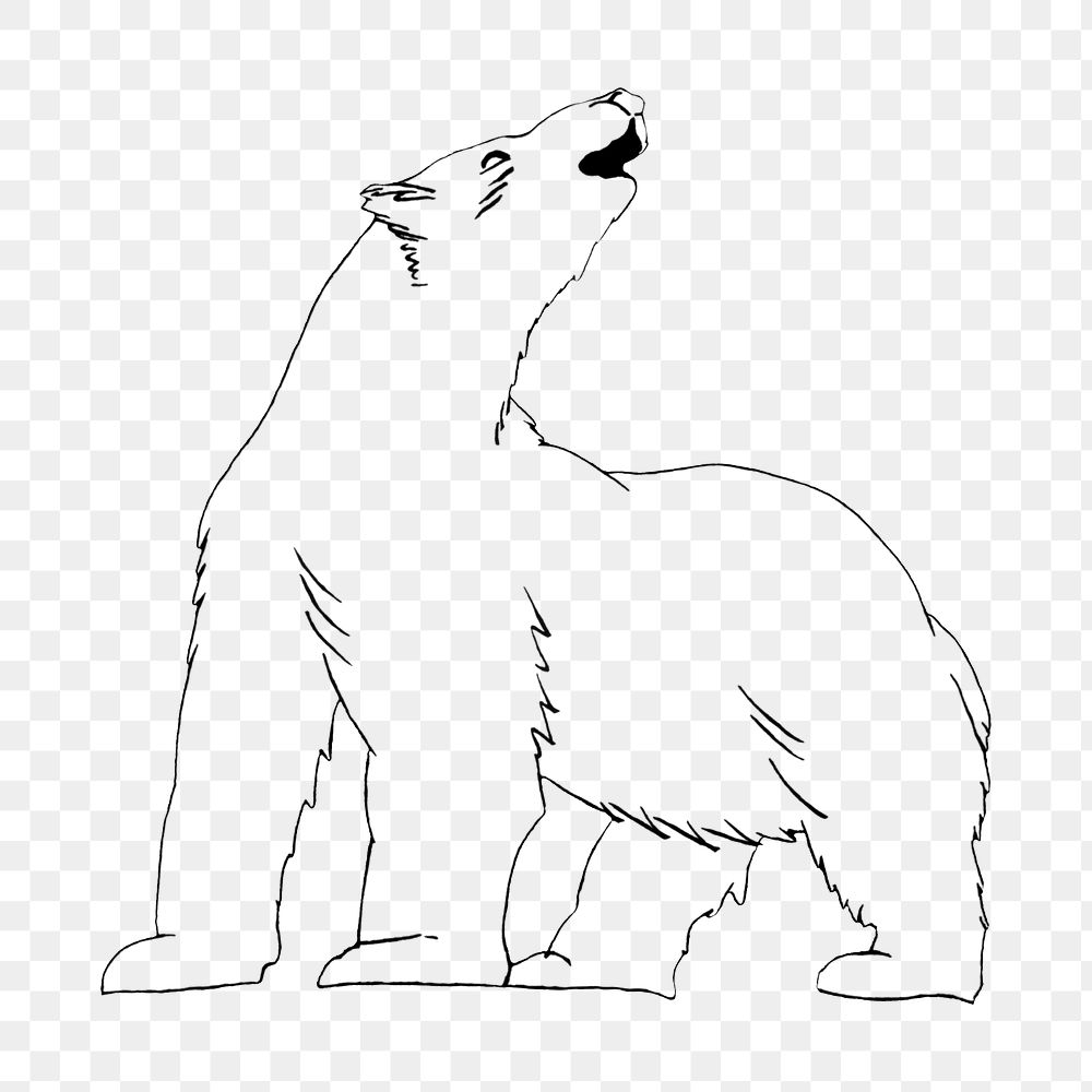 Polar bear png drawing, transparent background. Remixed by rawpixel. 