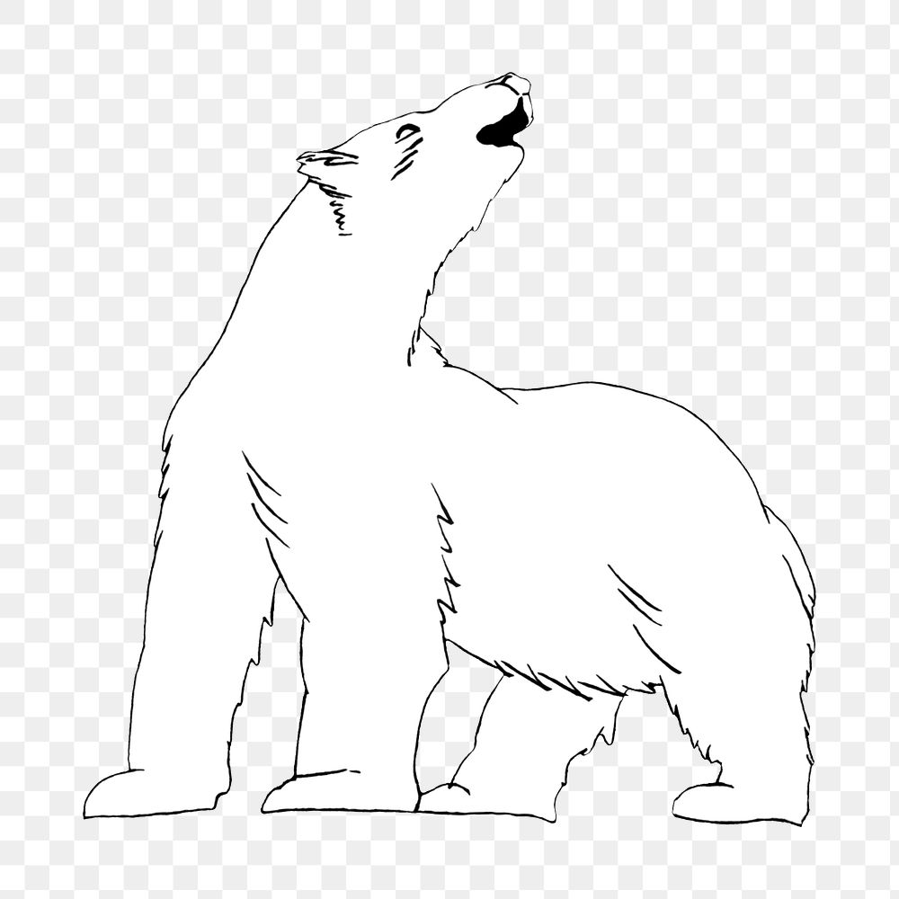 Polar bear png drawing, transparent background. Remixed by rawpixel. 