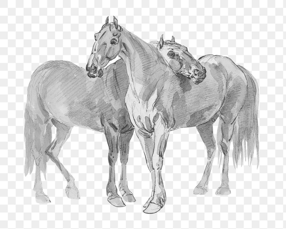 PNG horses vintage illustration on transparent background. Remixed by rawpixel. 