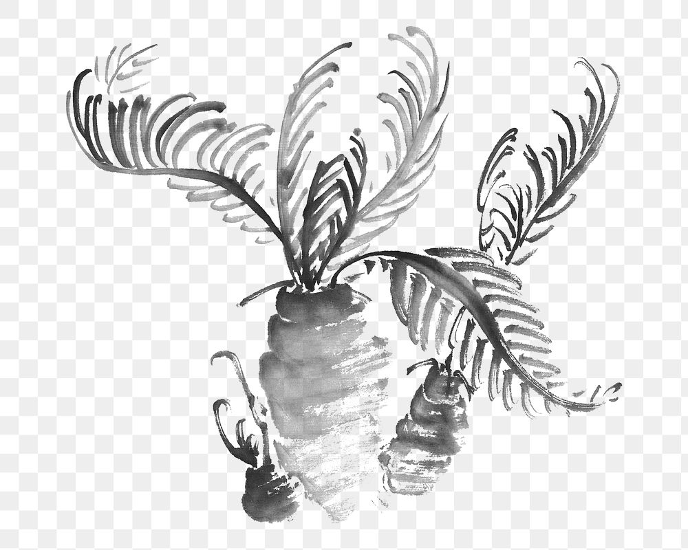 PNG Cycad tree, vintage botanical illustration by Ike Taiga, transparent background. Remixed by rawpixel.