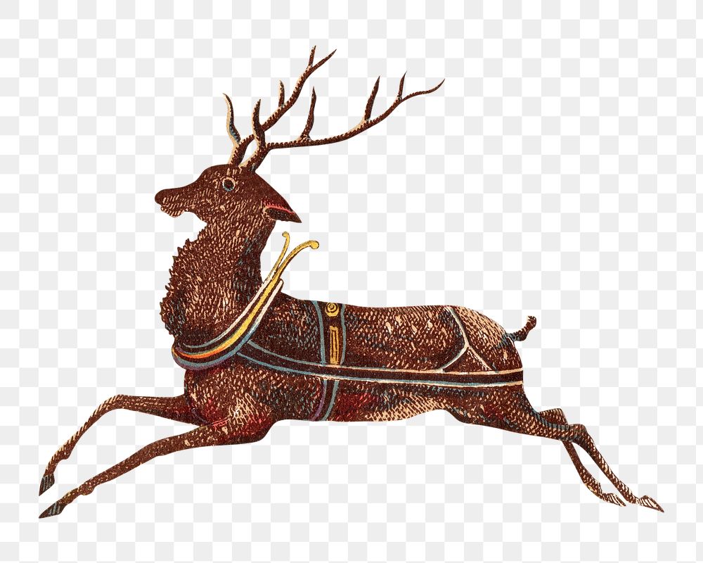 PNG Christmas reindeer, vintage animal illustration, transparent background. Remixed by rawpixel.