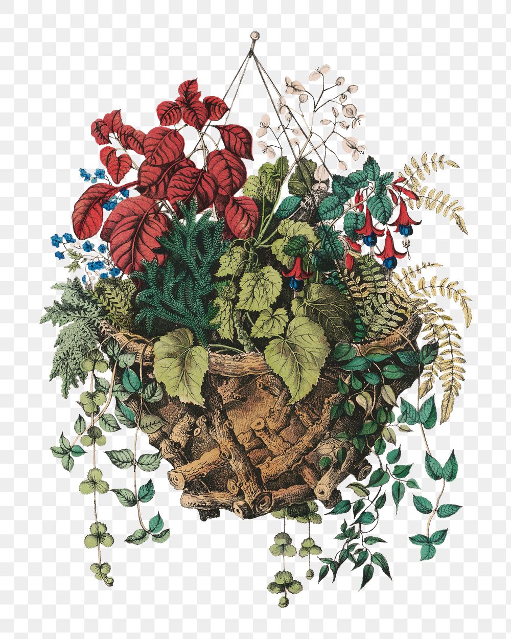 PNG Rustic basket, vintage botanical illustration by Currier & Ives, transparent background. Remixed by rawpixel.
