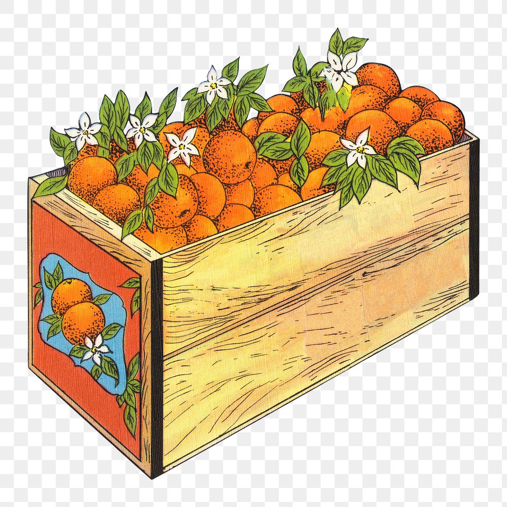 Vintage fruit png box of oranges chromolithograph, transparent background. Remixed by rawpixel.