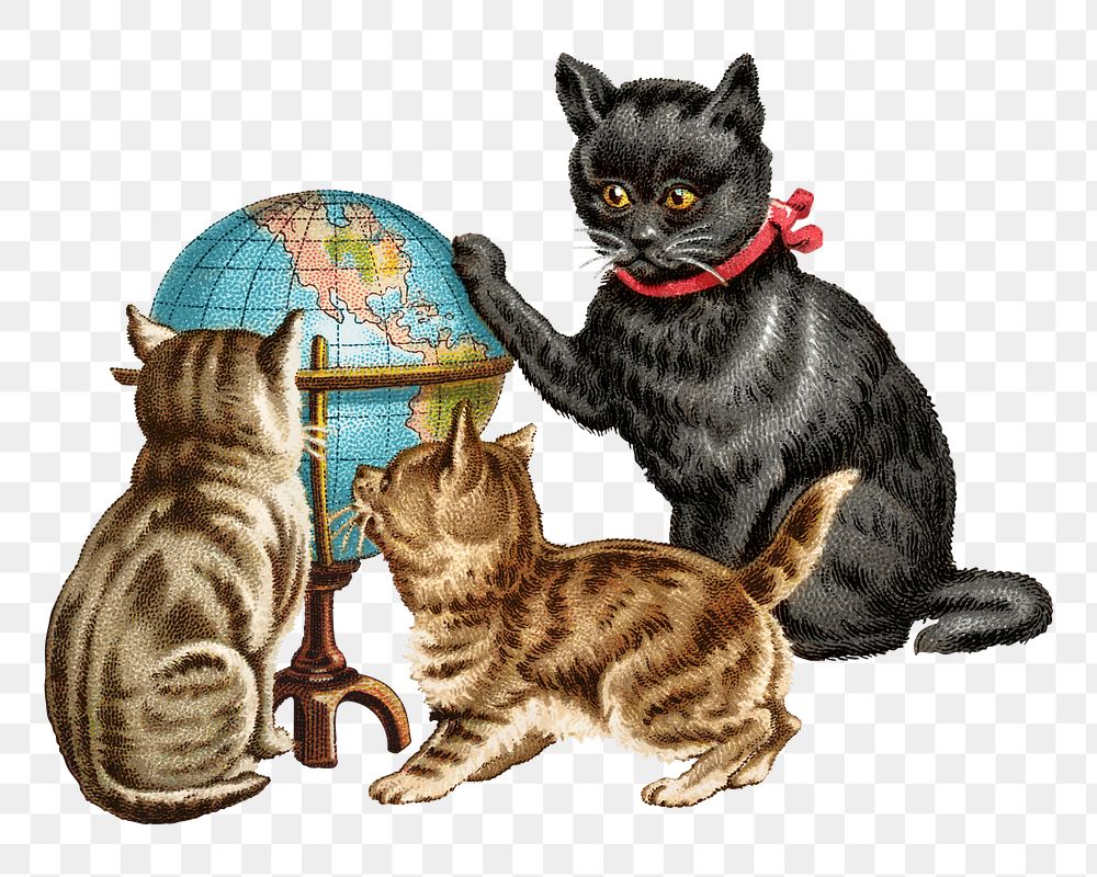 Vintage cats png pet, transparent background Remixed by rawpixel.