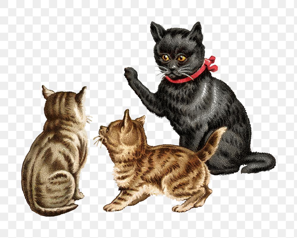 Vintage cats png pet, transparent background Remixed by rawpixel.