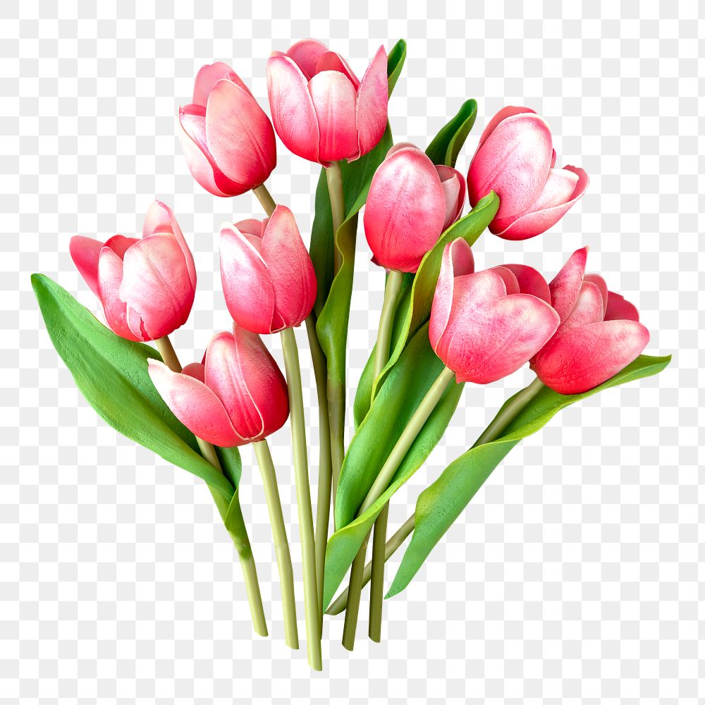 Pink tulips png collage element, transparent background