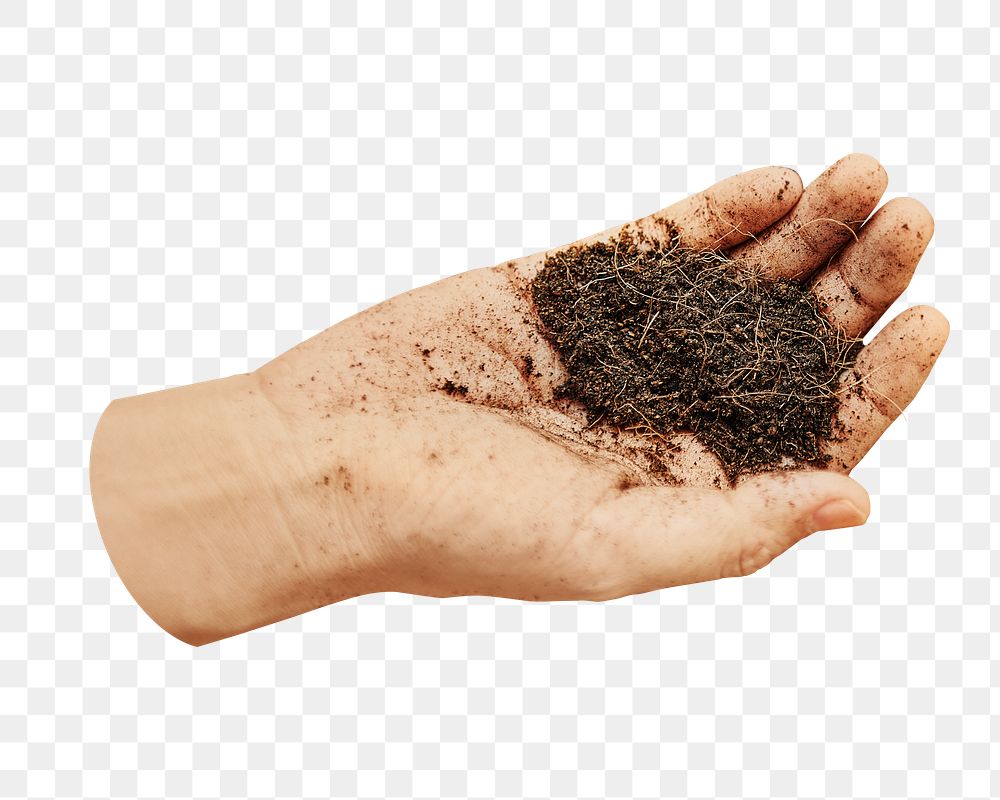 PNG Woman holding soil in her hand, collage element, transparent background