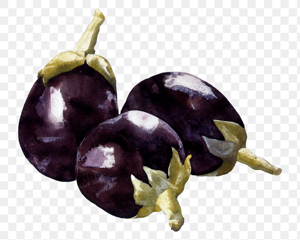 Eggplants watercolor png collage element, transparent background. Remixed by rawpixel.