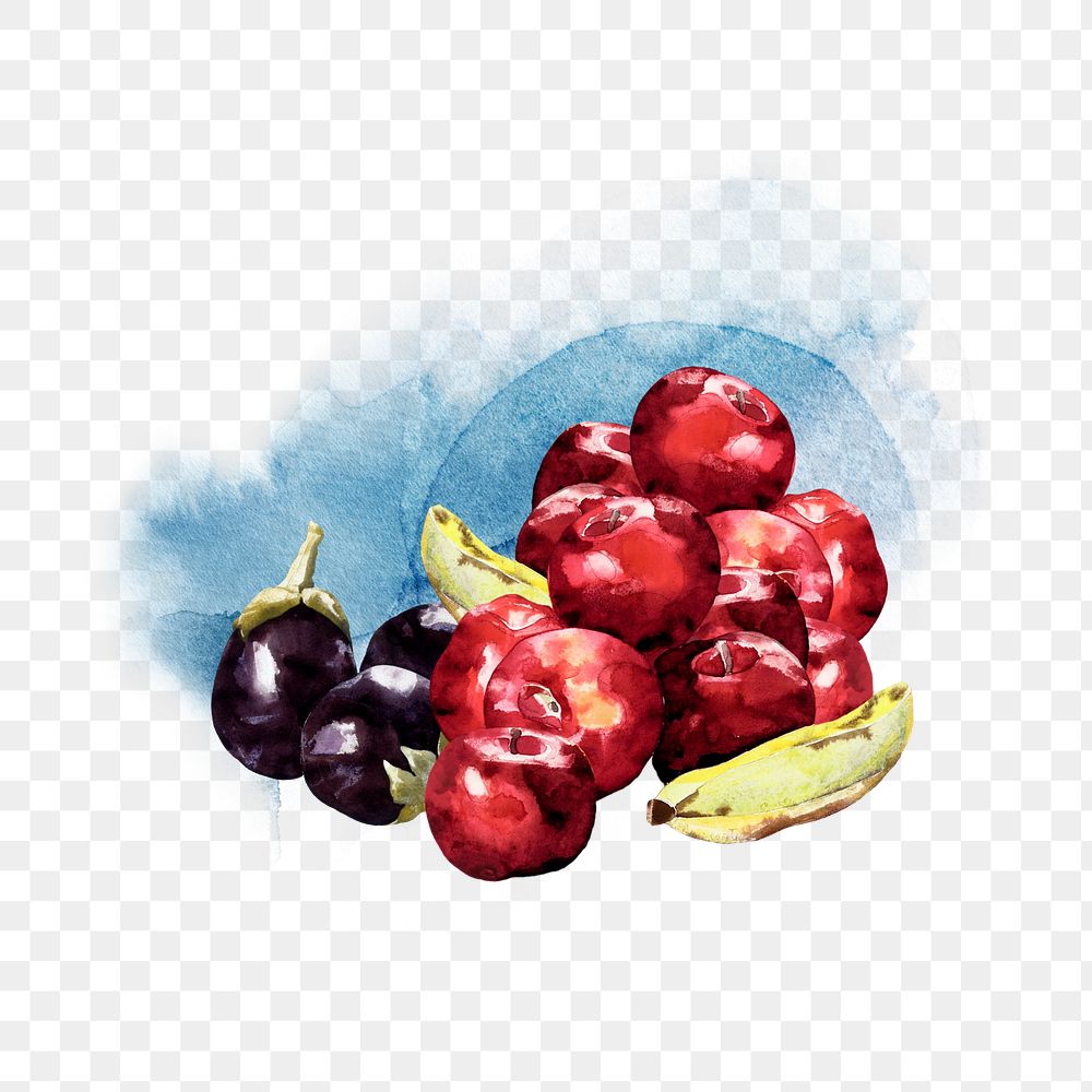 Fruits watercolor png collage element, transparent background. Remixed by rawpixel.