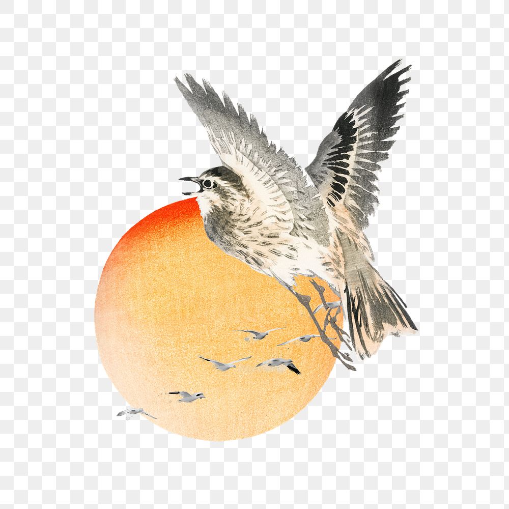 Birds & sun png watercolor, transparent background. Remixed by rawpixel.