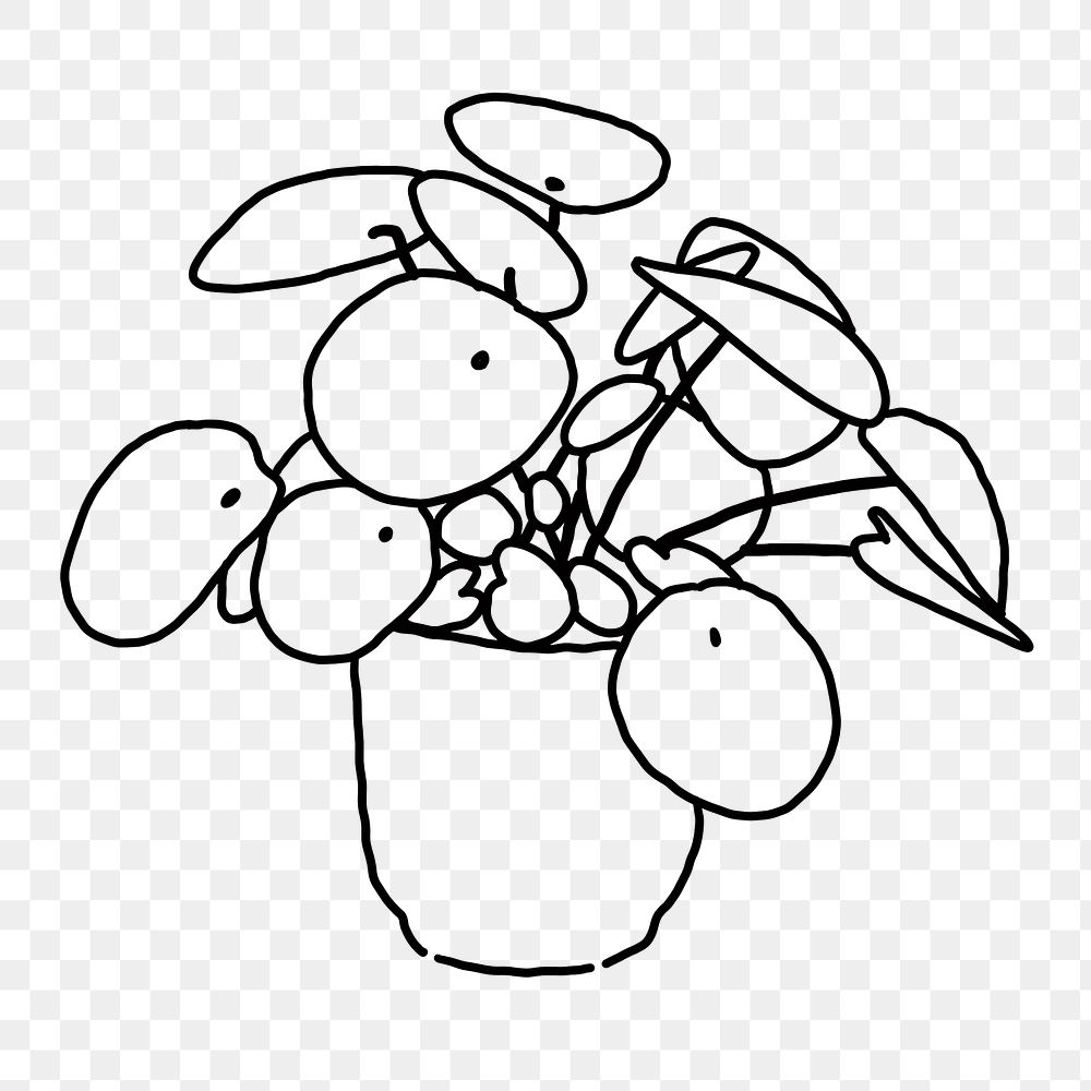 PNG Chinese money plant line art, transparent background