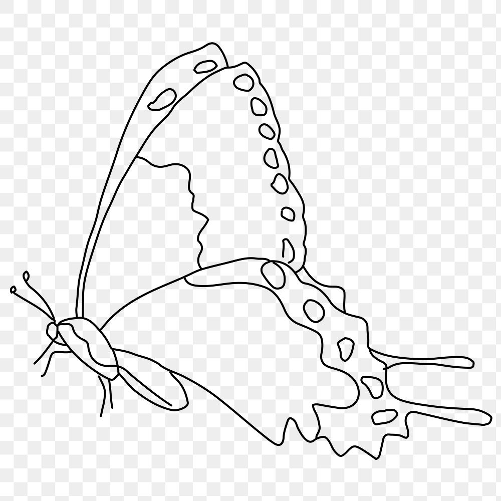 Butterfly png line art, transparent background