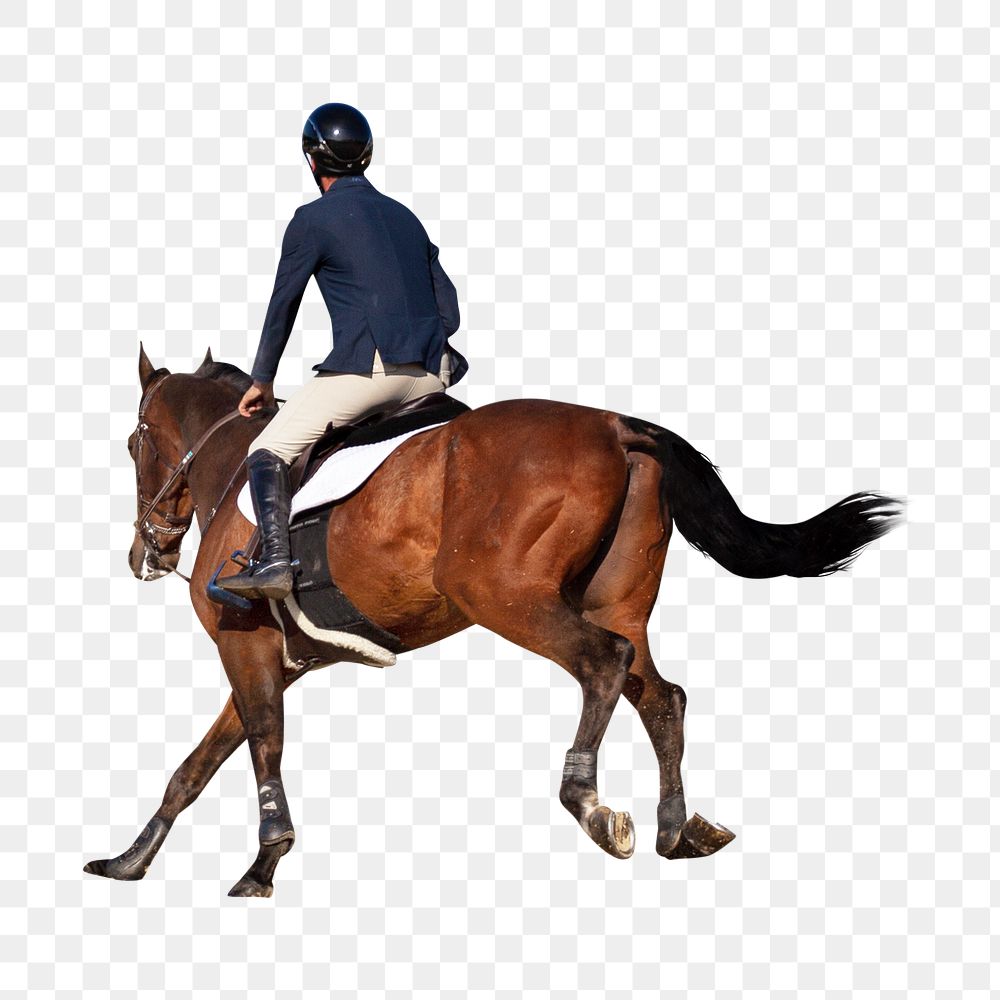 Horse riding png collage element, transparent background