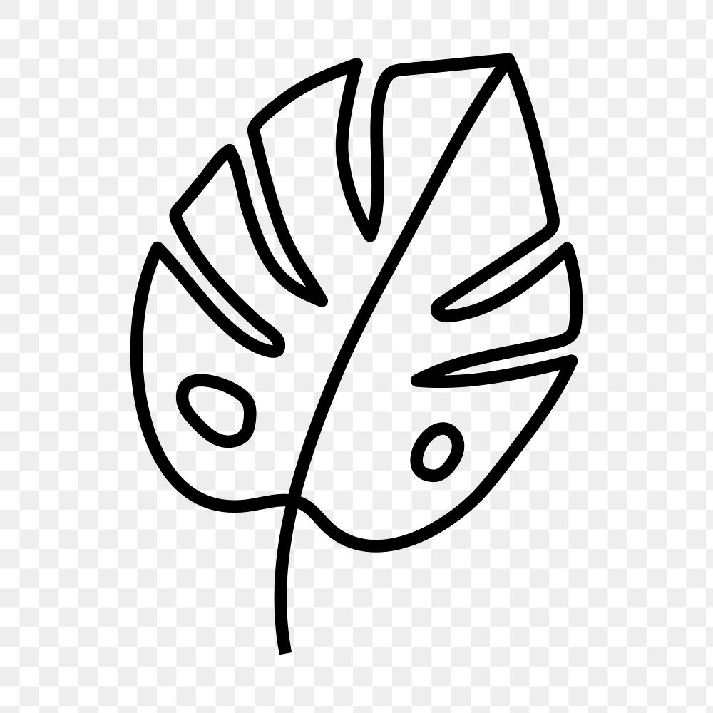 Monstera leaf png icon, line art design, transparent background