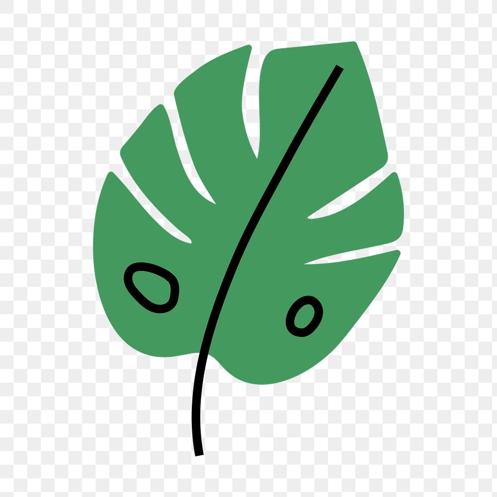 Monstera leaf png icon, line art design, transparent background