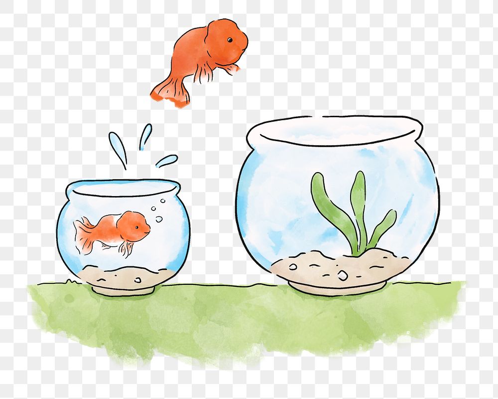 PNG Goldfish jumping into a bigger bowl, illustration, collage element, transparent background