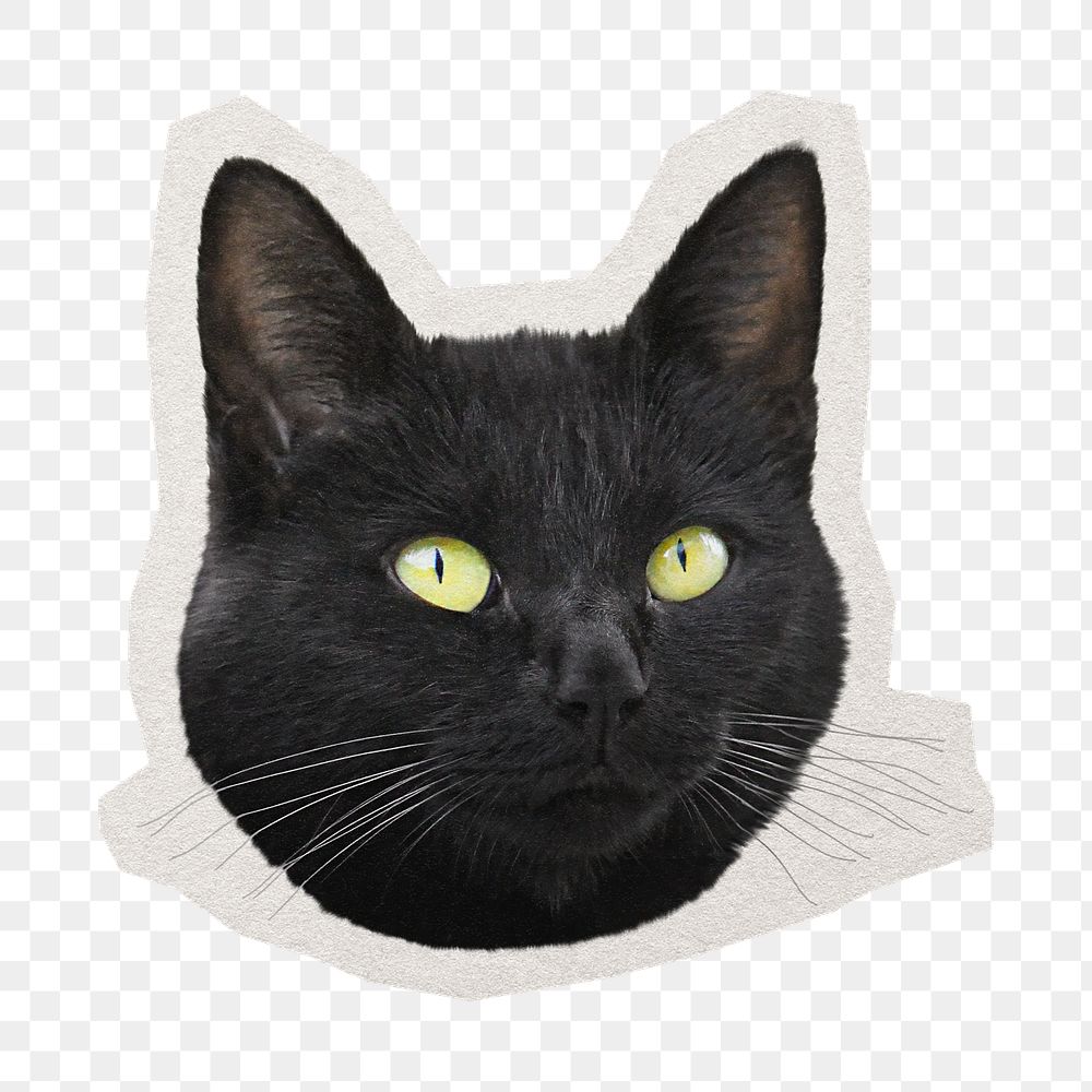 PNG black cat sticker with white border, transparent background