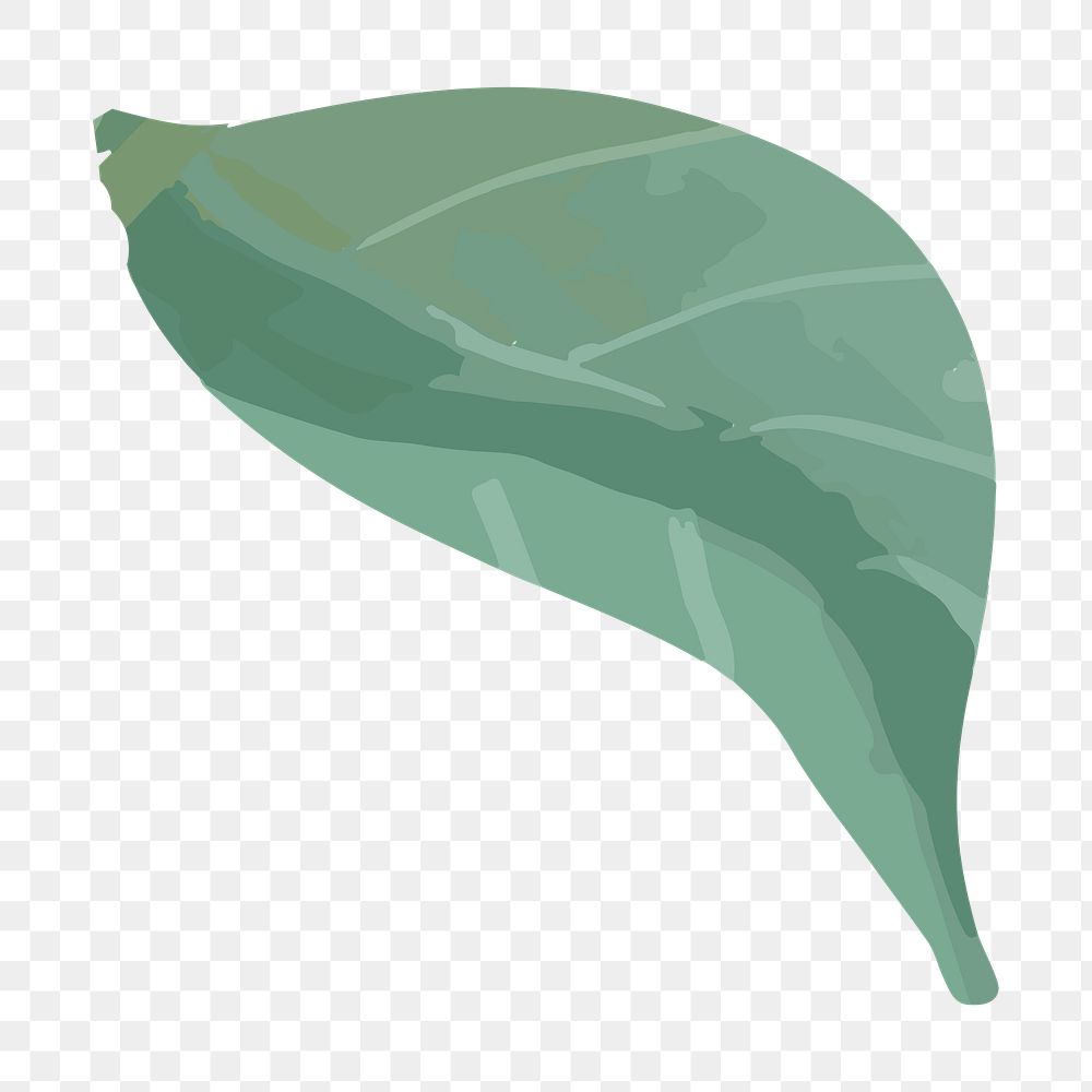Green leaf png watercolor, transparent background