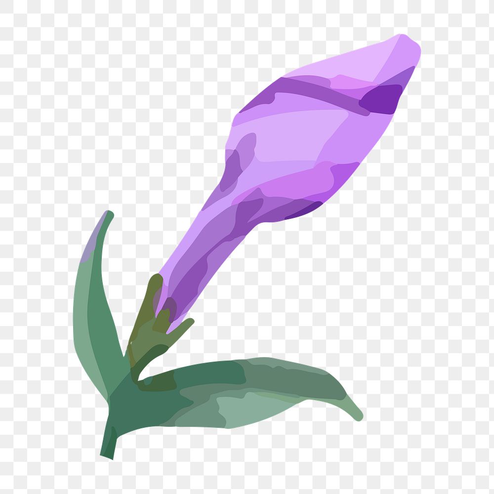 Purple phlox png watercolor flower, transparent background