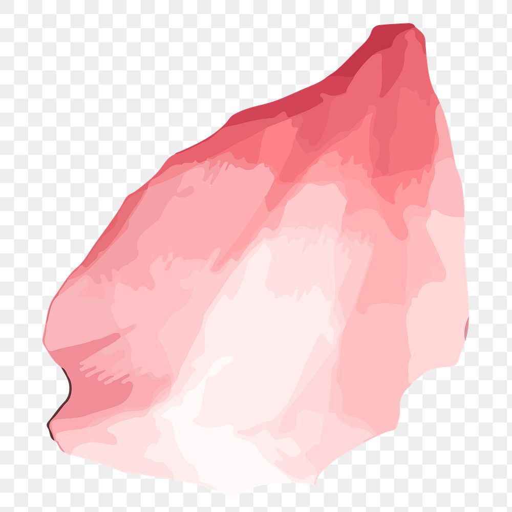 Pink petal png watercolor, transparent background