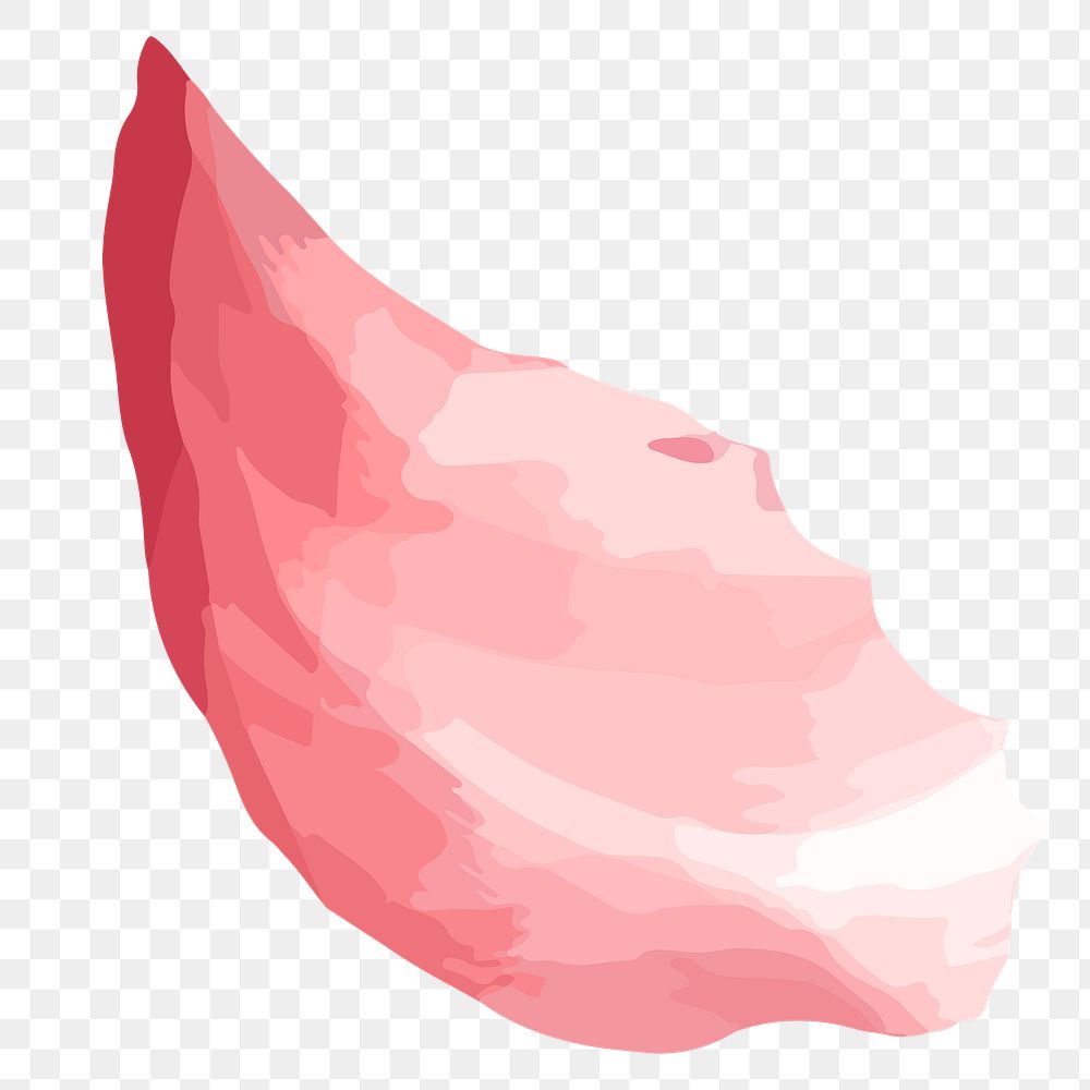 PNG watercolor pink petal, transparent background