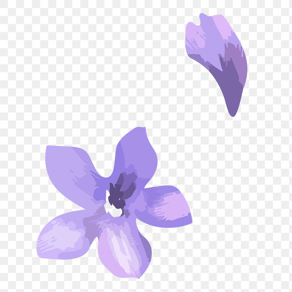 PNG watercolor purple flower, transparent background