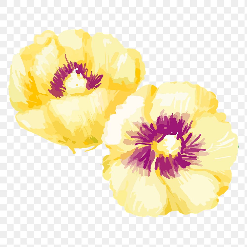 Yellow hollyhocks png watercolor flower, transparent background