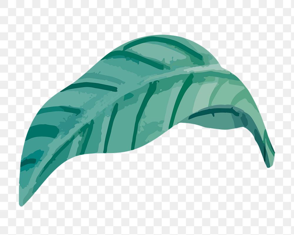Green leaf png watercolor plant, transparent background