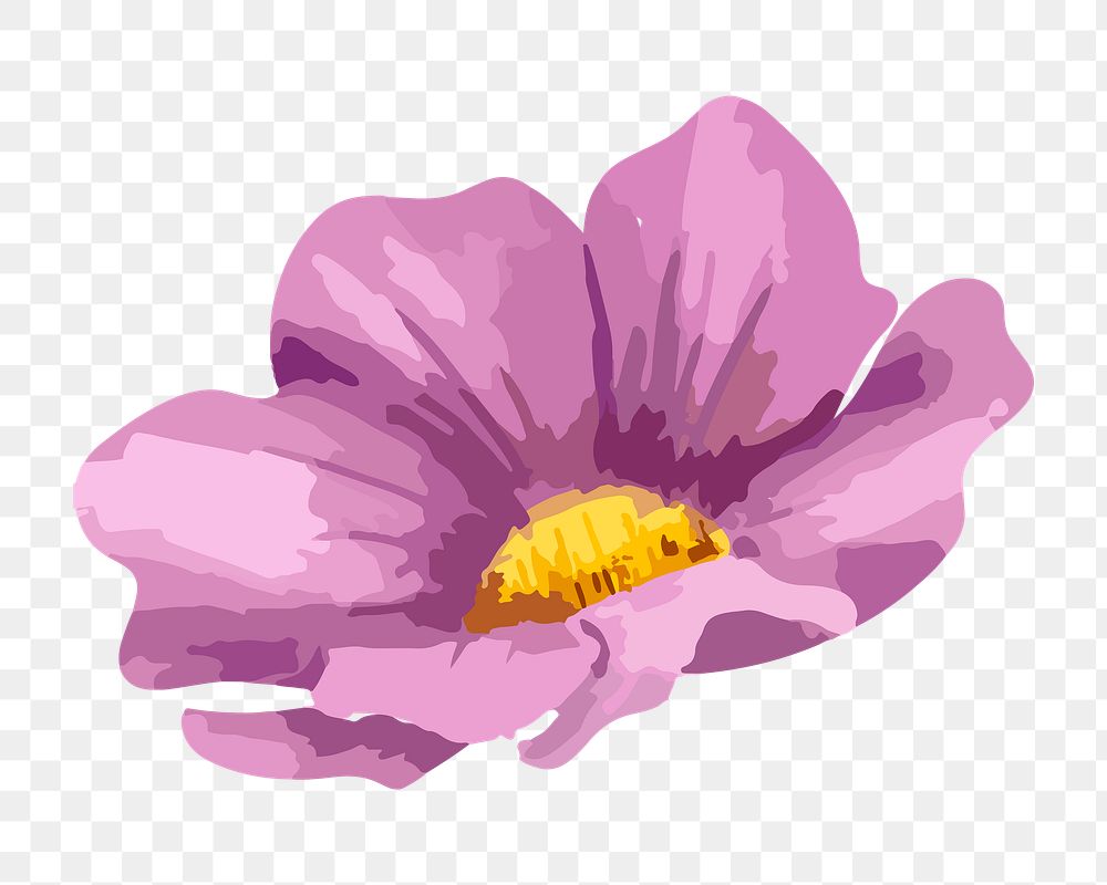 Purple cosmos png watercolor flower, transparent background