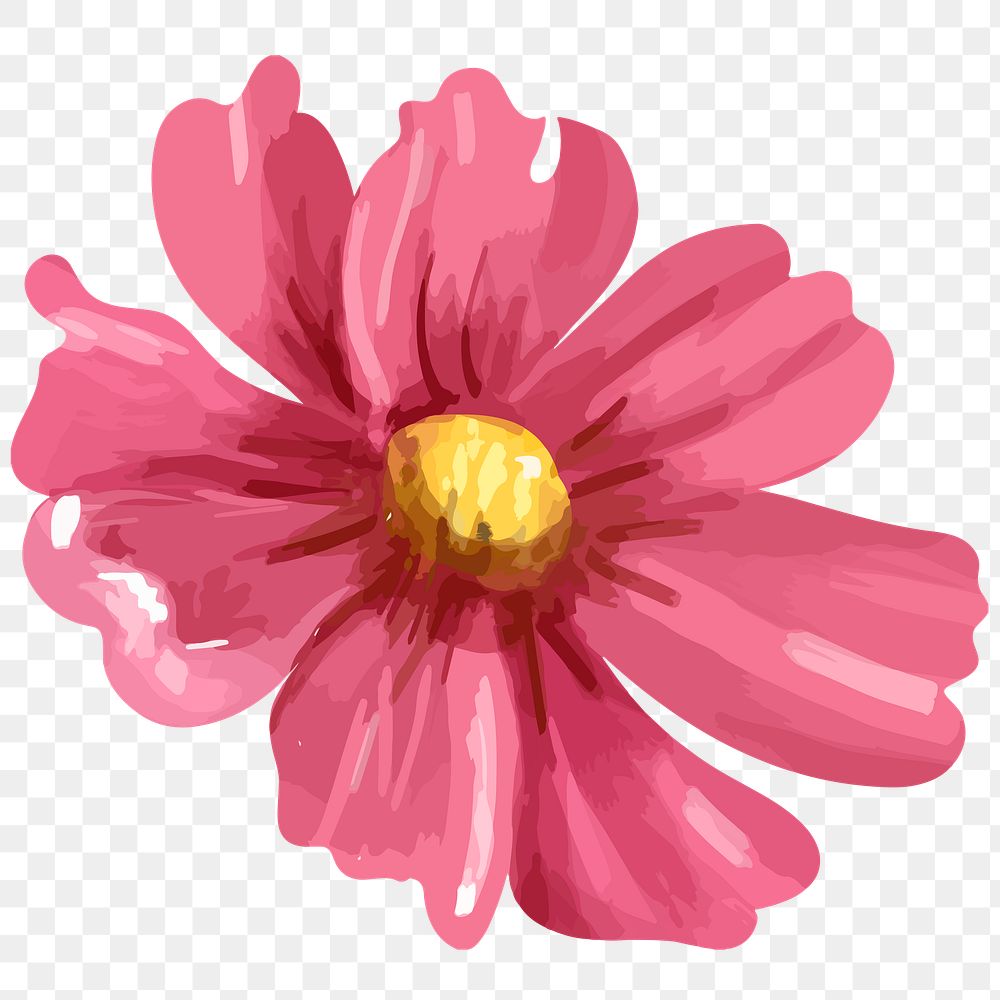 Pink cosmos png watercolor flower, transparent background