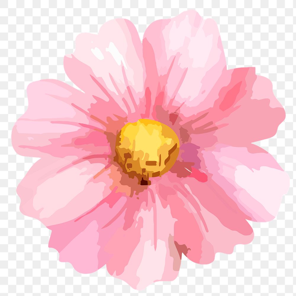 Pink cosmos png watercolor flower, transparent background