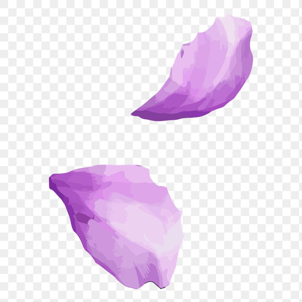 Purple petals png watercolor, transparent background