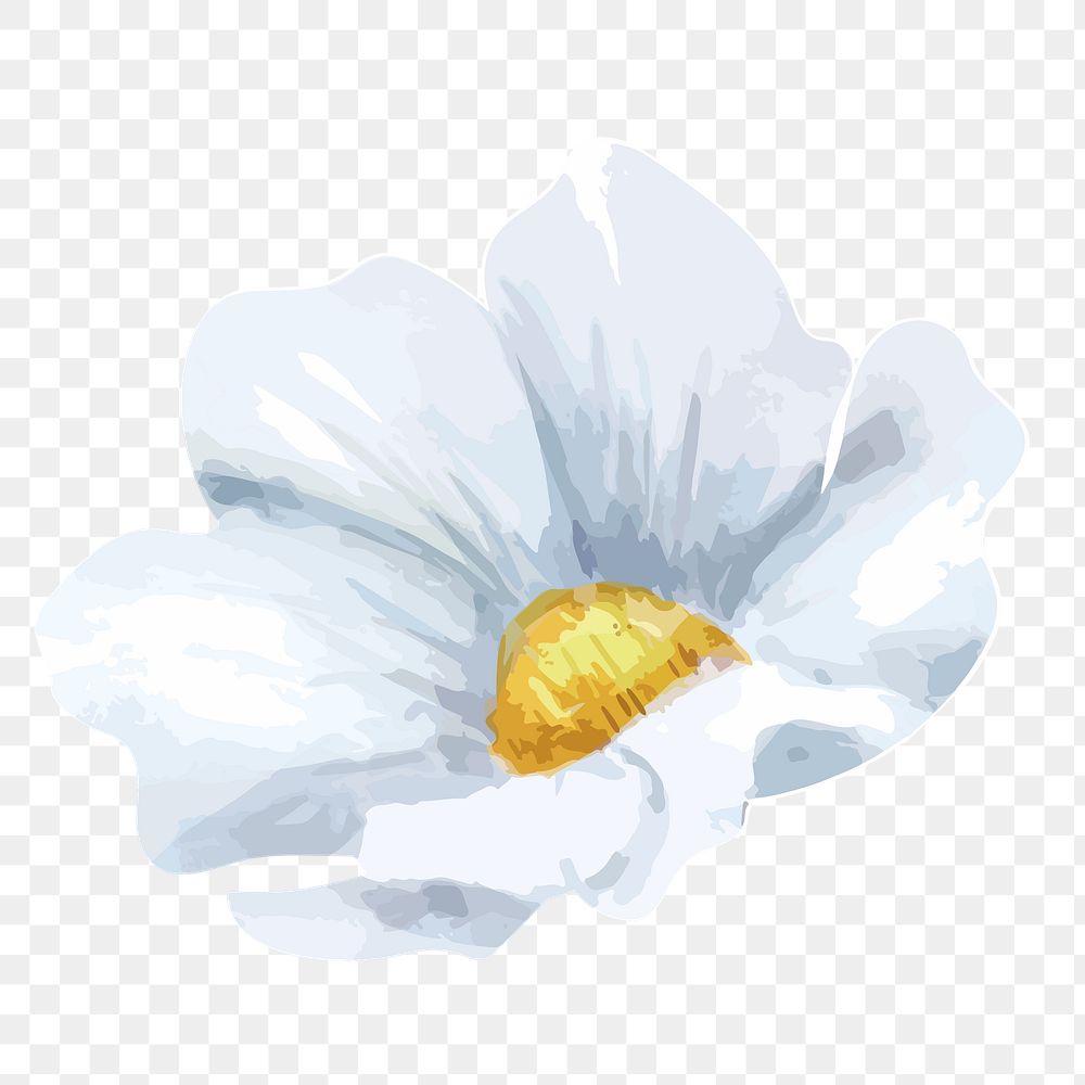 PNG watercolor chamomile flower, transparent background