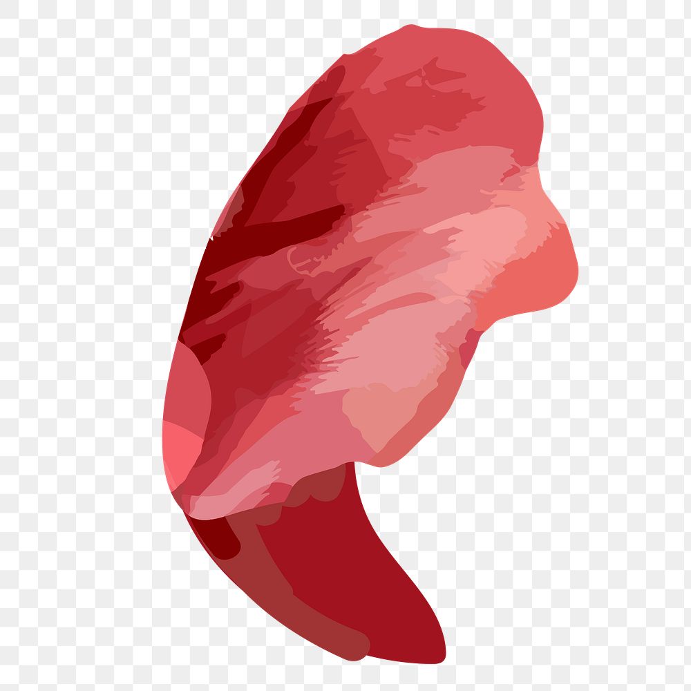 PNG watercolor red petal, transparent background