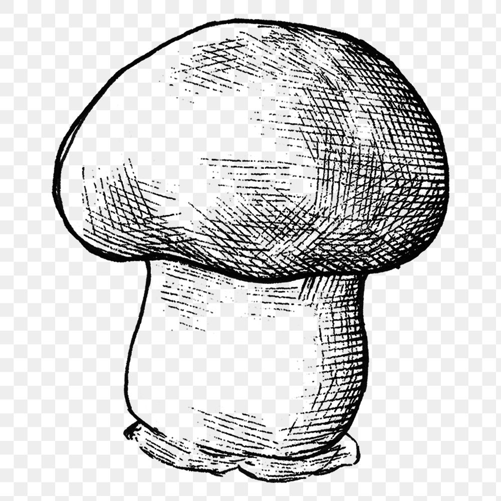 Png black & white cremini mushroom, transparent background