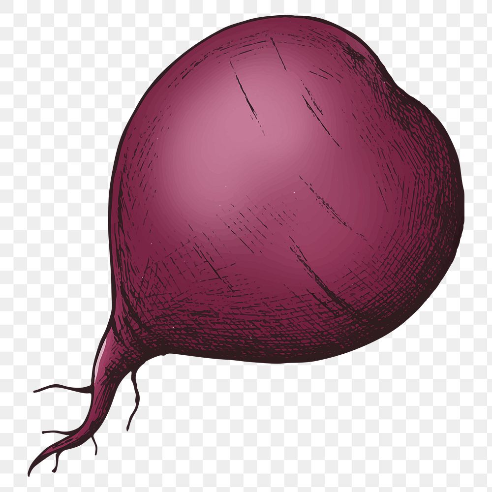 Png Beetroot collage element, transparent background