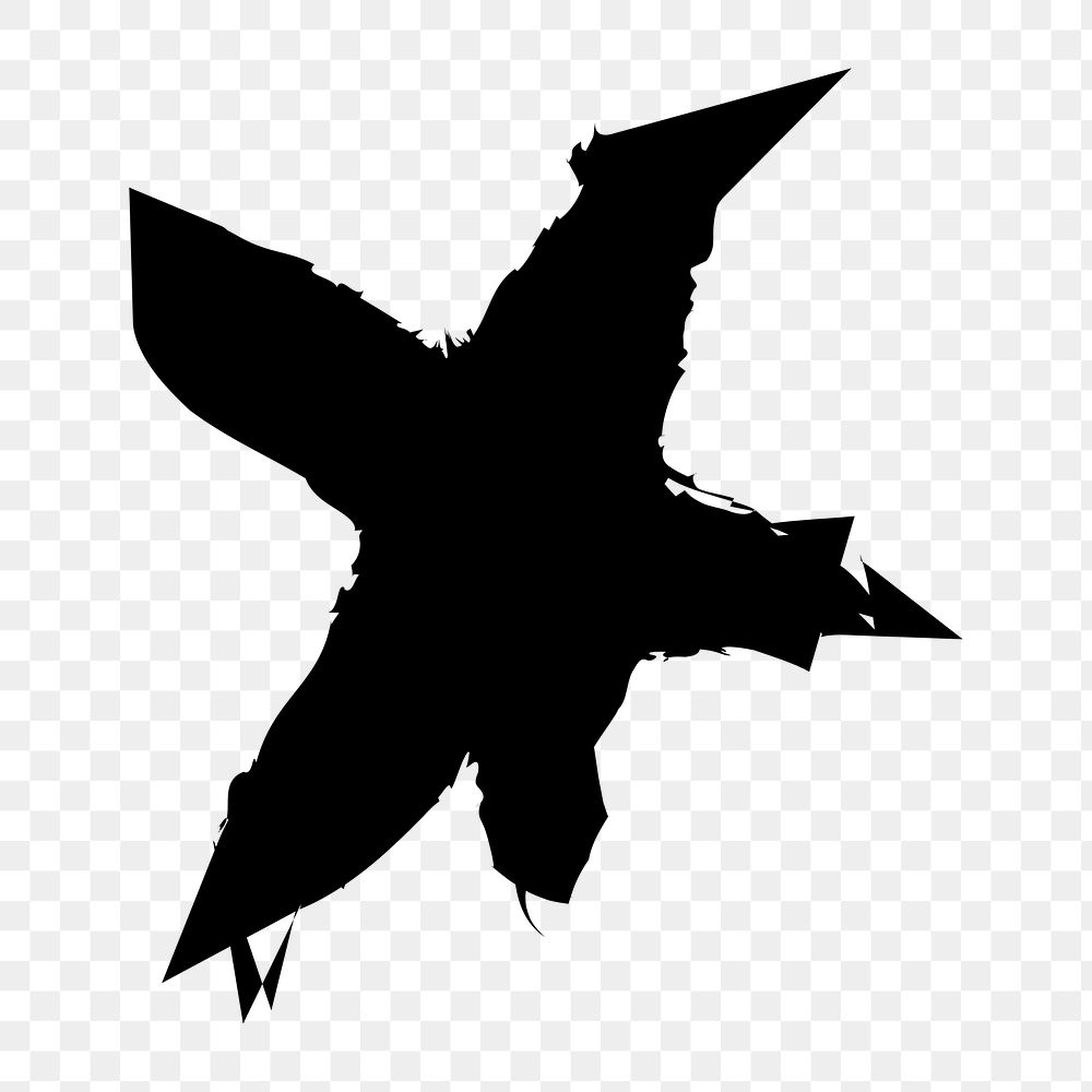 Png abstract black star doodle, transparent background
