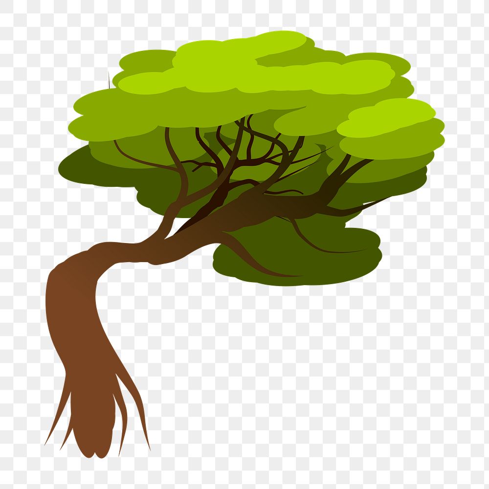 PNG Green tree  illustration, transparent background. Free public domain CC0 image.