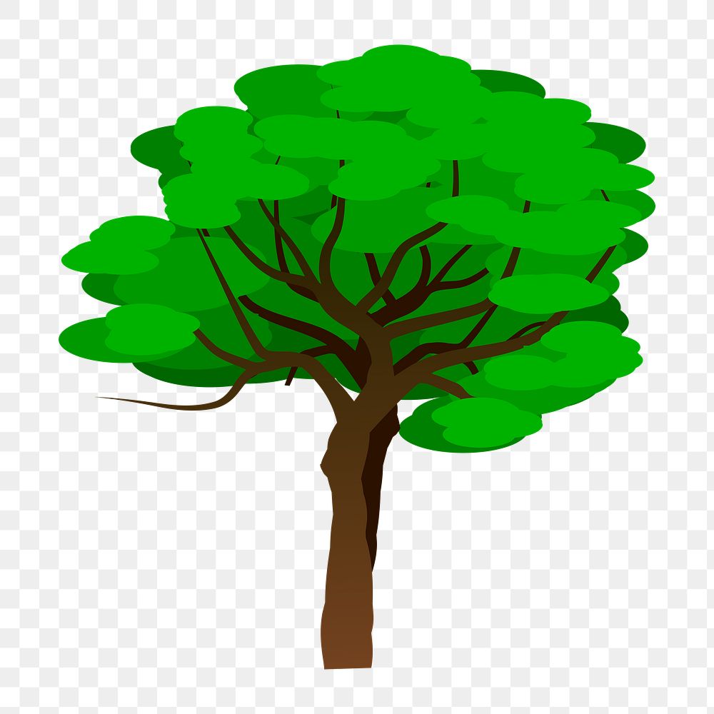 PNG Green tree sticker,  transparent background. Free public domain CC0 image.