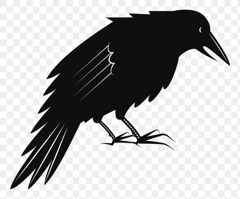 PNG Crow, black bird sticker, transparent background. Free public domain CC0 image.