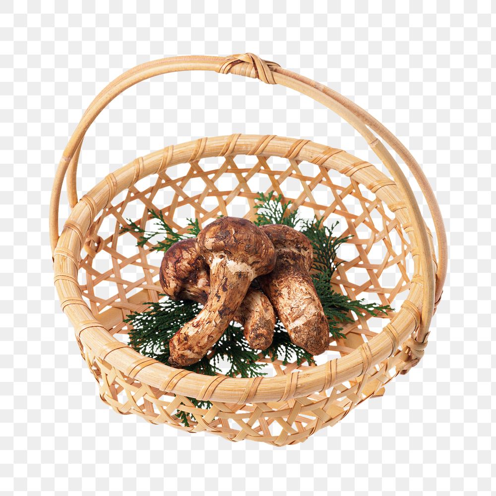 Mushroom basket png collage element, transparent background