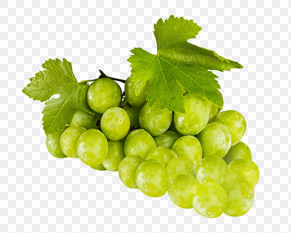 Fresh green grapes png orchard, transparent background