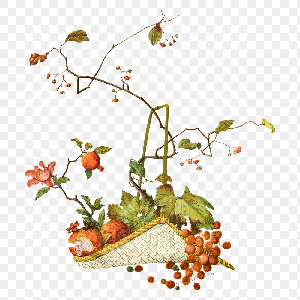 PNG Autumn fruit basket, Japanese botanical illustration, transparent background. Remixed by rawpixel.